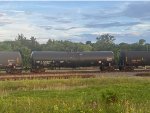 CBTX 736997